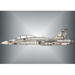 CALCAS EF-18 HORNET ALA N15 75.000 horas 1/72 - Series Españolas SE1172