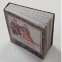 LIBRO MINIATURA CON HOJAS IMPRESAS (LIBROS VARIADOS) - HOBBY DOLLSHOUSE ACCESORIES 503