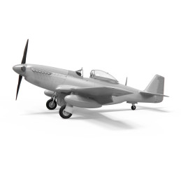 NORTH AMERICAN P-51 D MUSTANG -Escala 1/48- Airfix 05138