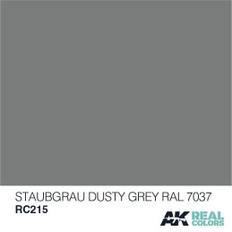 PINTURA REAL COLORS DUSTY GREY RAL7037 10 ml - AK Interactive RC215