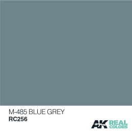 PINTURA REAL COLORS M-485 BLUE GREY 10 ml - AK Interactive RC256