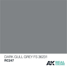 PINTURA REAL COLORS DARK GULL GREY 10 ml - AK Interactive RC247