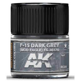 PINTURA REAL COLORS F-15 DARK GREY FS36176 GREY  (10 ml) - AK Interactive RC246