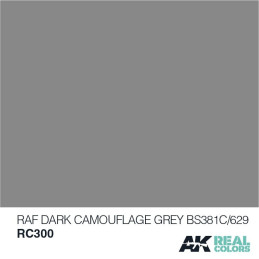 PINTURA REAL COLORS RAF DARK GREY BS381C/629 10 ml - AK RC300