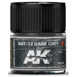 PINTURA REAL COLORS AMT-12 DRAK GREY (10 ml) - AK Interactive RC318