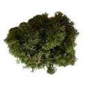 MUSGO NATURAL VERDE OSCURO (50gr) - KERANOVA 601050