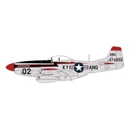 NORTH AMERICAN F-51 D MUSTANG -Escala 1/72- Airfix A02047A