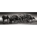 PUZZLE 1000 pzas HERD OF GIANT - Clementoni 39836