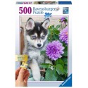 PUZZLE 500 PZS HUSKY - RAVENSBURGER 13682