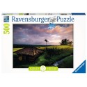 PUZZLE 500 PZS RISAIE A BALI - RAVENSBURGER 16991