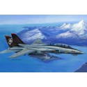 GRUMMAN F-14 D TOMCAT -Escala 1/48- Hobby Boss 80368