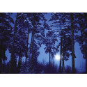 PUZZLE 500 PZS FULL MOON - HEYE 29625