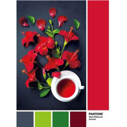 PUZZLE 1000 PZS PANTONE RED HIBISCUS AROMA - CLEMENTONI 39494