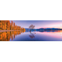 PUZZLE 1000 PZS ARBOL EN EL LAGO WANAKA - CLEMENTONI 21608