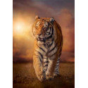 PUZZLE 1500 pzs TIGER - Clementoni 31806