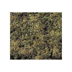 HIERBA TIERRA DE BOSQUE (20 gr)